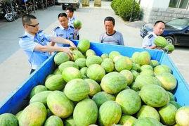 无锡网红吃瓜群微信,揭秘网络社交圈的幕后故事